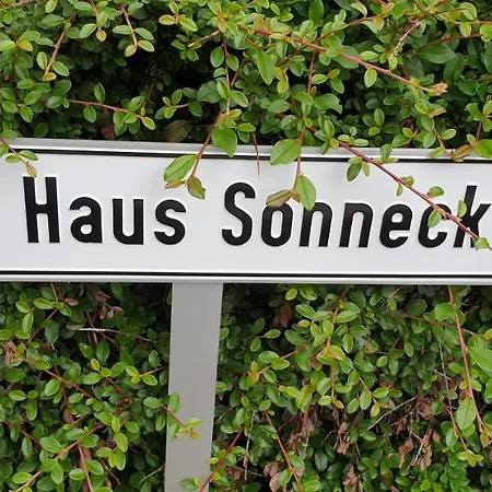 Sonneck Schonach