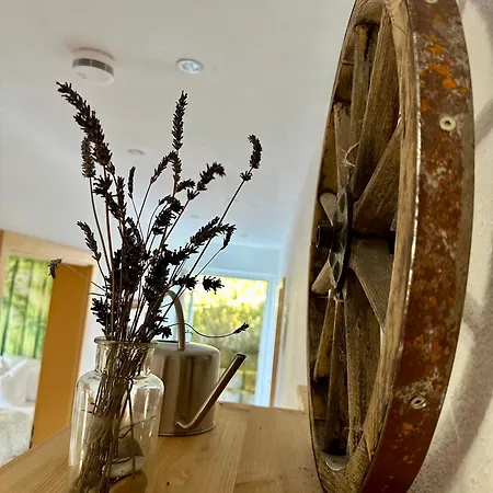 Sonneck Schonach Apartamento
